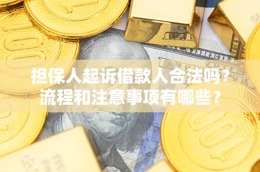 济南担保人起诉借款人合法吗？流程和注意事项有哪些？