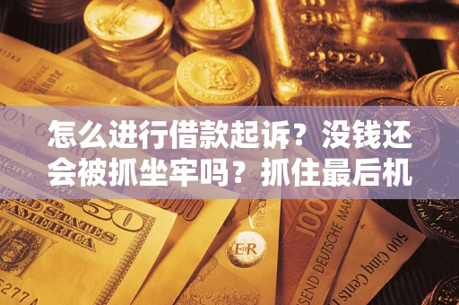 济南怎么进行借款起诉？没钱还会被抓坐牢吗？抓住最后机会！