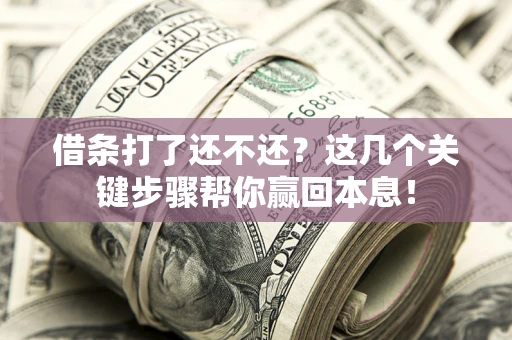 济南借条打了还不还？这几个关键步骤帮你赢回本息！