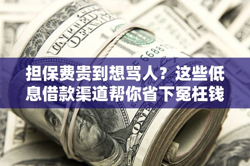 济南担保费贵到想骂人？这些低息借款渠道帮你省下冤枉钱