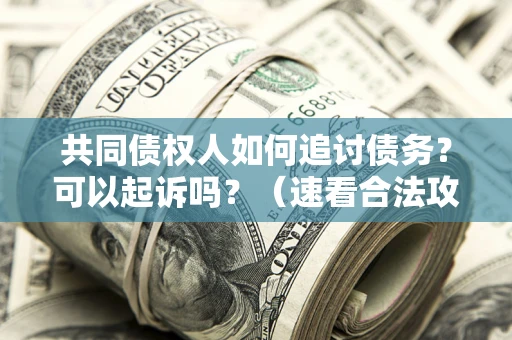 济南共同债权人如何追讨债务？可以起诉吗？（速看合法攻略）