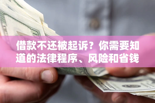 济南借款不还被起诉？你需要知道的法律程序、风险和省钱技巧